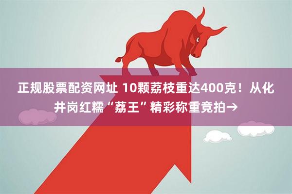 正规股票配资网址 10颗荔枝重达400克！从化井岗红糯“荔王”精彩称重竞拍→